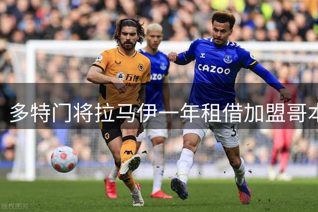 多特门将拉马伊一年租借加盟哥本哈根