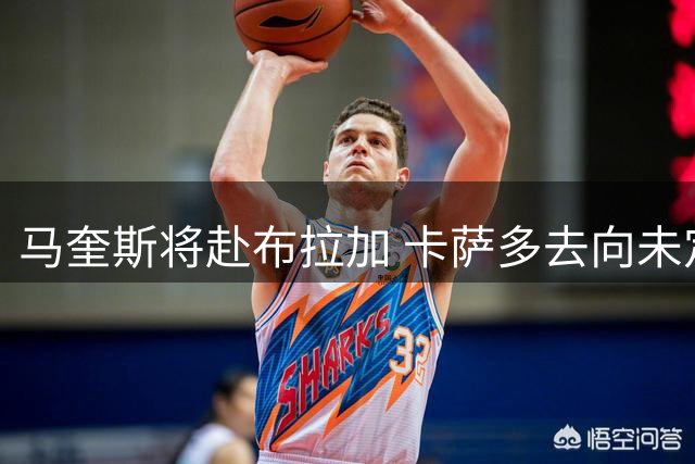 马奎斯将赴布拉加 卡萨多去向未定